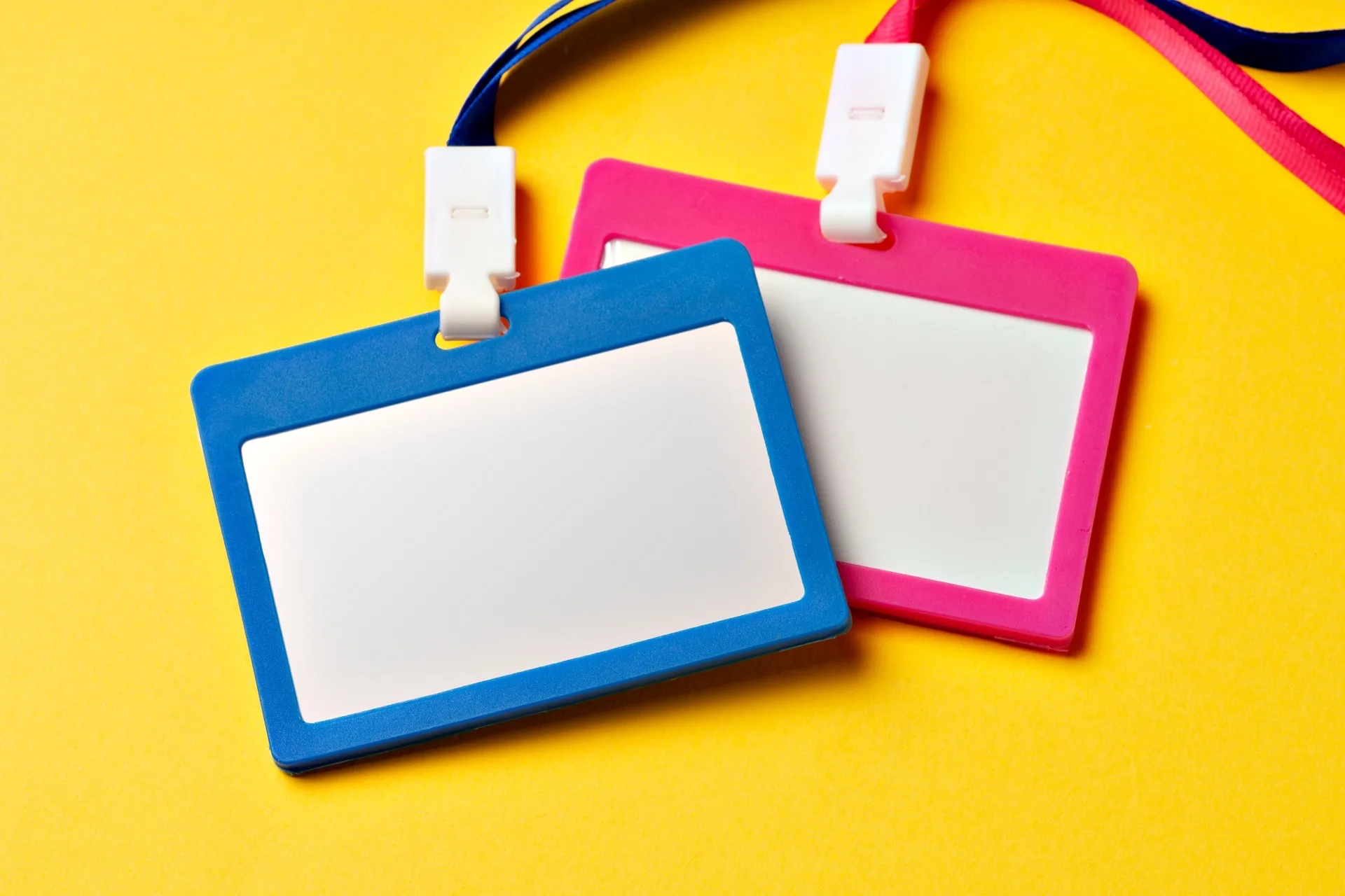 C — Kamyon (Ağır Vasıta) Ehliyeti